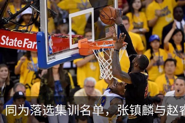 同为落选集训名单，张镇麟与赵睿的境遇差异何在？